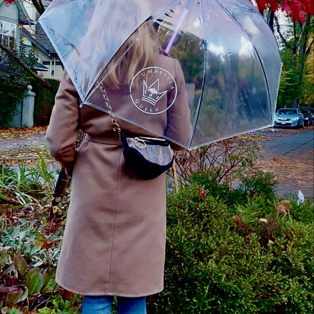 Clear Umbrella with Black Trim